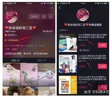 抖音网红怎么赚钱？一条视频报价43万，抖音网红真的月入百万吗？插图3