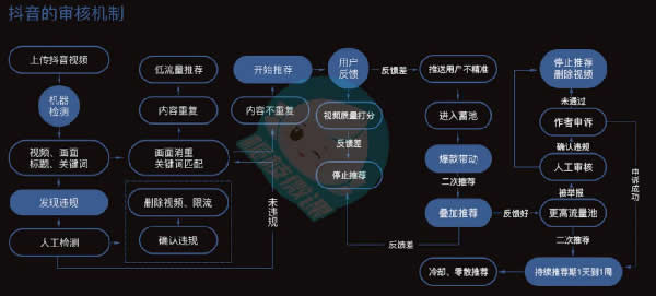 抖音从0到1快速运营操作 流量 抖音 小视频 经验心得 第2张