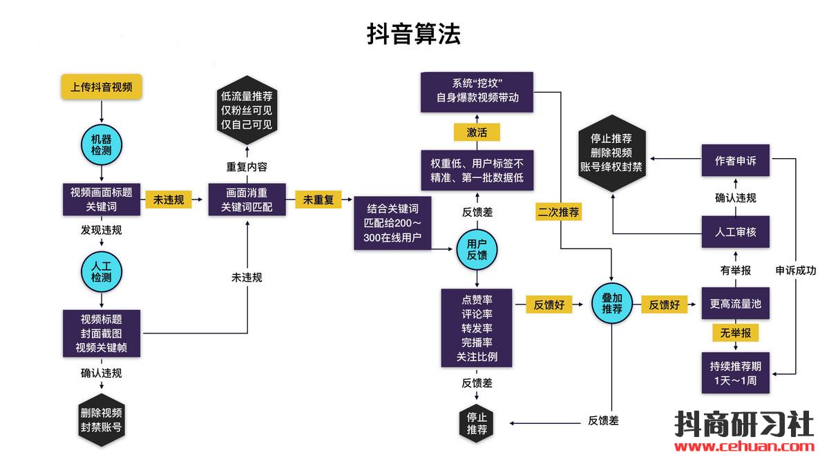 抖音赚钱当网红却没你想的那么难！插图