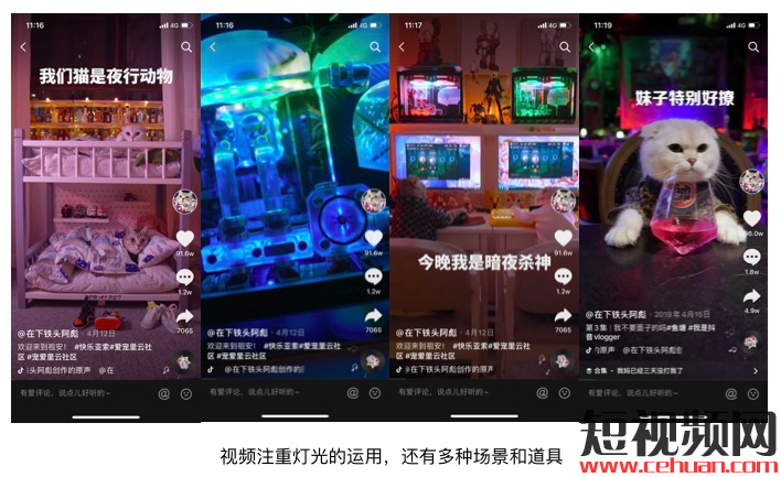 一个月抖音涨粉246万！宠物类短视频如何快速吸引眼球？插图3