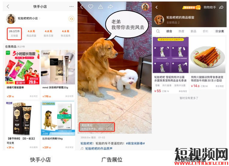 一个月抖音涨粉246万！宠物类短视频如何快速吸引眼球？插图7