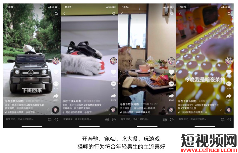 一个月抖音涨粉246万！宠物类短视频如何快速吸引眼球？插图2
