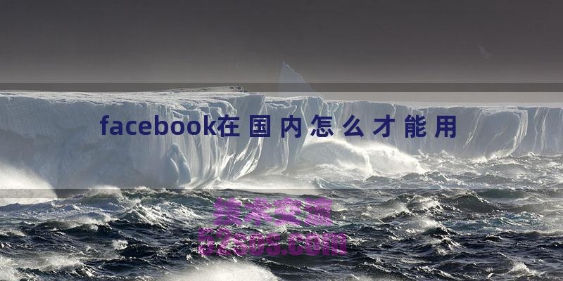 facebook在国内怎么才能用插图