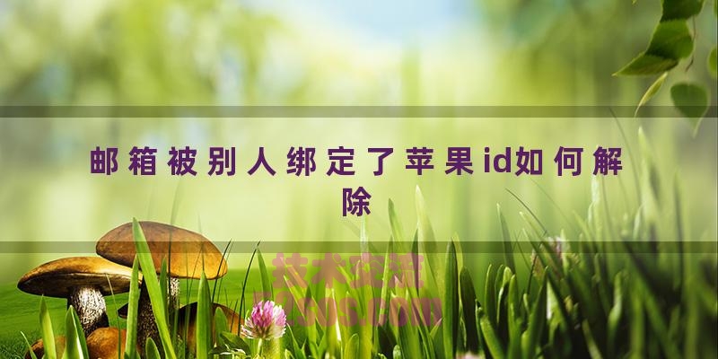 邮箱被别人绑定了苹果id如何解除（邮箱怎么样解绑苹果ID）插图