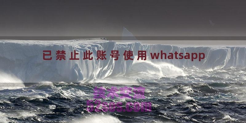 已禁止此账号使用whatsapp（whatsapp禁止登录怎么解决）插图