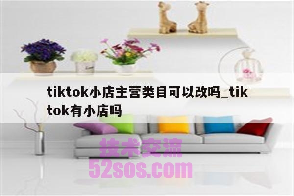 跨境tiktok小店主营类目可以更改跨境tiktok店铺主营类目如何更改插图