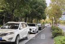 抖音上抖红的花海，竟成了这样…-TikTok培训