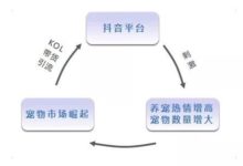当抖音短视频带货成为潮流，抖音会成为下一个淘宝吗？-TikTok培训