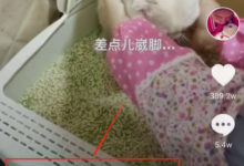 如何开通抖音商品橱窗功能！-TikTok培训