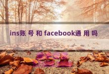ins账号和facebook通用吗-TikTok培训
