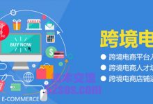 TikTok无货源跨境电商的运作方式和常见问题解答-TikTok培训