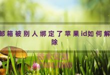 邮箱被别人绑定了苹果id如何解除（邮箱怎么样解绑苹果ID）-TikTok培训