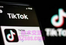 新加坡tiktok小店,登录攻略-TikTok培训