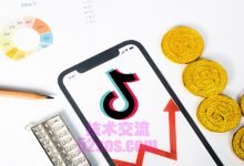 泰国tiktok小店运营思路-TikTok培训